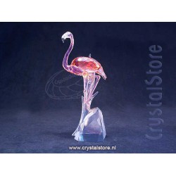 Flamingo (2018)