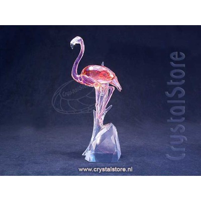 Flamingo (2018)