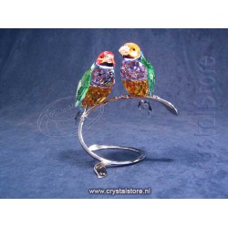 Gouldian Finches, Peridot