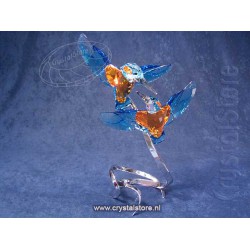 Kingfishers Couple
