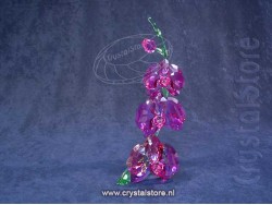 Orchideeën