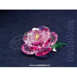 Peony