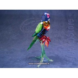 Rainbow Lorikeet