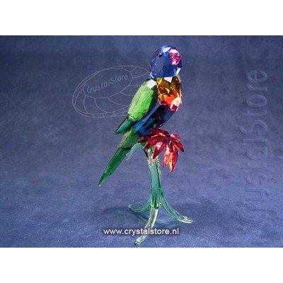 Rainbow Lorikeet