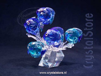 Swarovski Kristal - School Vissen