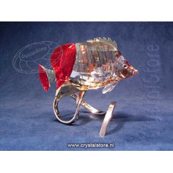 Butterfly Fish Light Siam