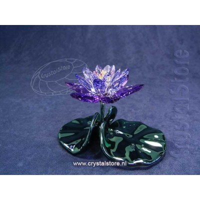 Waterlily, Blue Violet