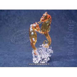 Seahorse Couple