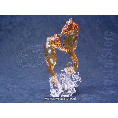 Seahorse Couple