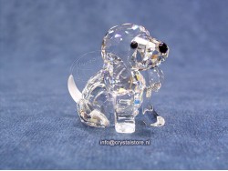 Beagle zittend  