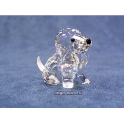 Sitting Beagle 