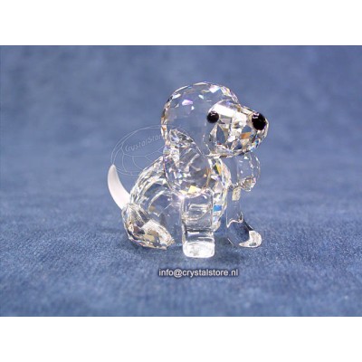 Sitting Beagle 