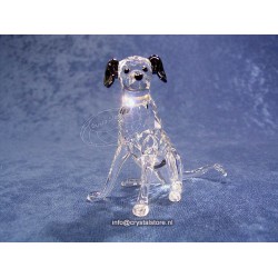 Dalmatian Mother