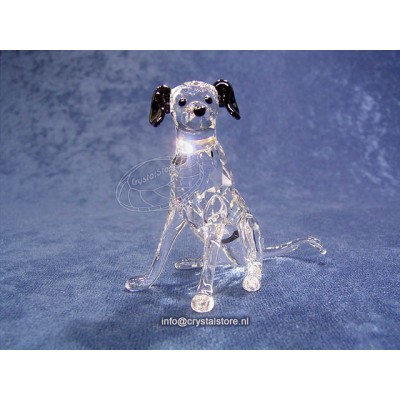 Dalmatian Mother