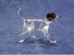 Dalmatiër pup staand 