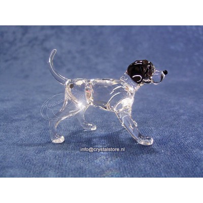 Dalmatian puppy standing
