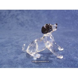 Dalmatian Puppy Sitting