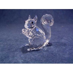 Squirrel (2016 issue)