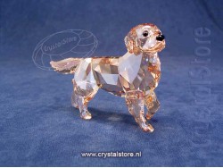 Golden Retriever Moeder