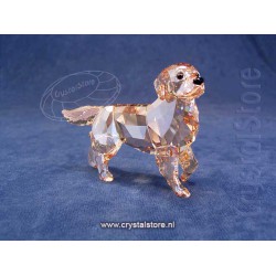 Golden Retriever Mother