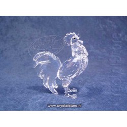Rooster