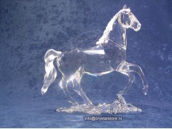 Stallion 2011