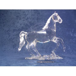 Stallion 2011