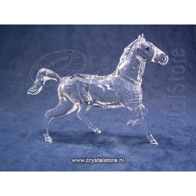 Stallion