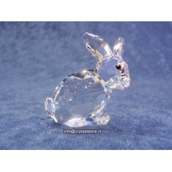 Rabbit Sitting
