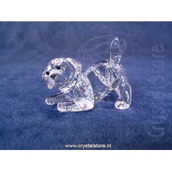 Labrador Puppy Playing