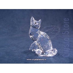 Maine Coon Cat