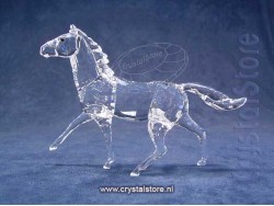 Paard