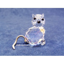 Cat Mini