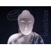 Buddha - Groot (5099353)