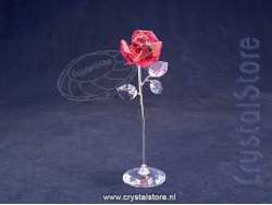 Bloemendromen Rode Roos groot