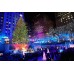 Kerstpiek Stralende Ster (843215)
