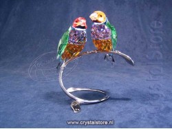 Gouldian Finches, Peridot Gouldian Finches, Peridot