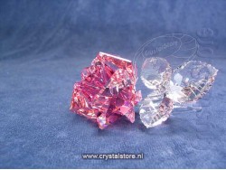 Bloeiende Roos Licht Rose