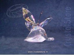 Sparkling Butterfly 