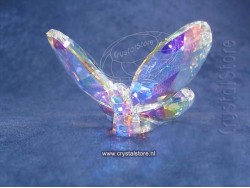 Butterfly Aurora Borealis