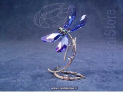 SCS Dragonfly Event piece 2014