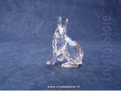 SCS Arctic Hare 