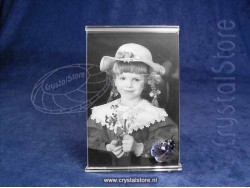Picture Frame with Ladybird