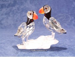 Puffins