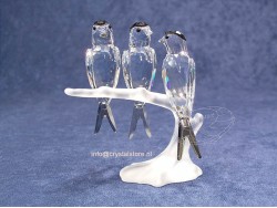 Swallows (2007 issue) Swallows (2007 issue)