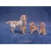 Golden Retriever Moeder