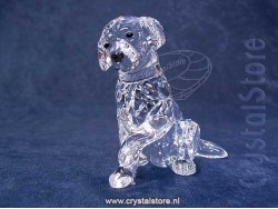 Labrador Moeder