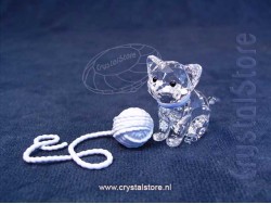 Kitten Sitting Kitten Sitting