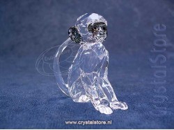 SCS - Blauwaap - Vervet Monkey -  (Eventstuk 2018)