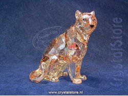SCS - Annual Edition 2019 Amur Leopard Sofia